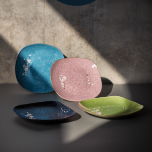 Plato de Cerámica Esmaltada de Colores